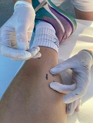 Aufbruch zum Umbruch