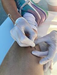 Aufbruch zum Umbruch