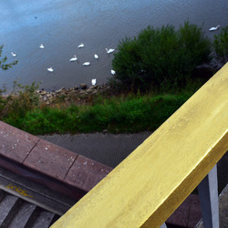 Kurpfalzbrücke Mannheim - Manfred Rinderspacher