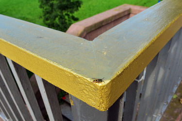 Kurpfalzbrücke Mannheim - Manfred Rinderspacher