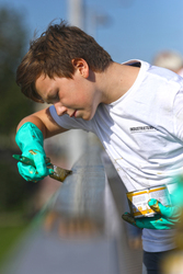 Kurpfalzbrücke Mannheim - Robert Kapper