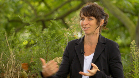 Kurpfalzbrücke Mannheim - Snapshots