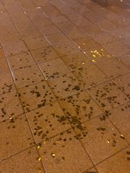 Kurpfalzbrücke Mannheim - Vernissage