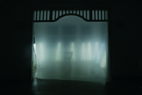 Personal Paradise | Ins Licht setzen I