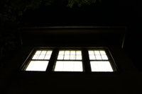 Personal Paradise | Ins Licht setzen I