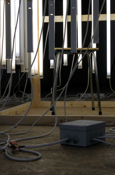 Ins Licht setzen III