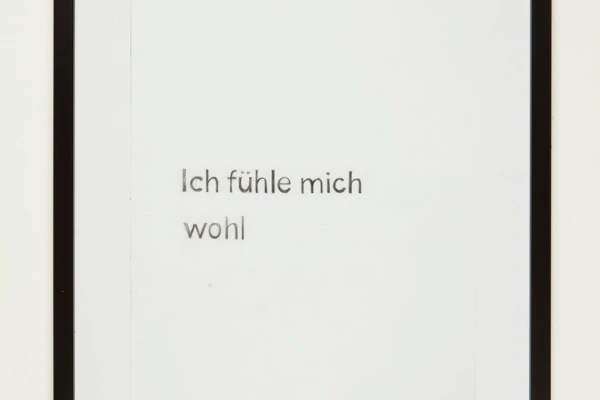 Manifestationen des aktuell Sagbaren und somit des Rechtsrucks in der deutschen Gesellschaft.