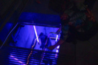 Die Schächte des Lichts | Süsse Träume