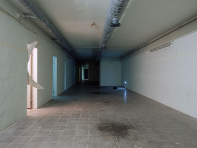 Continuity of Government